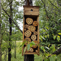 Our bee house just off the meadow in the Middle of Know-Where
