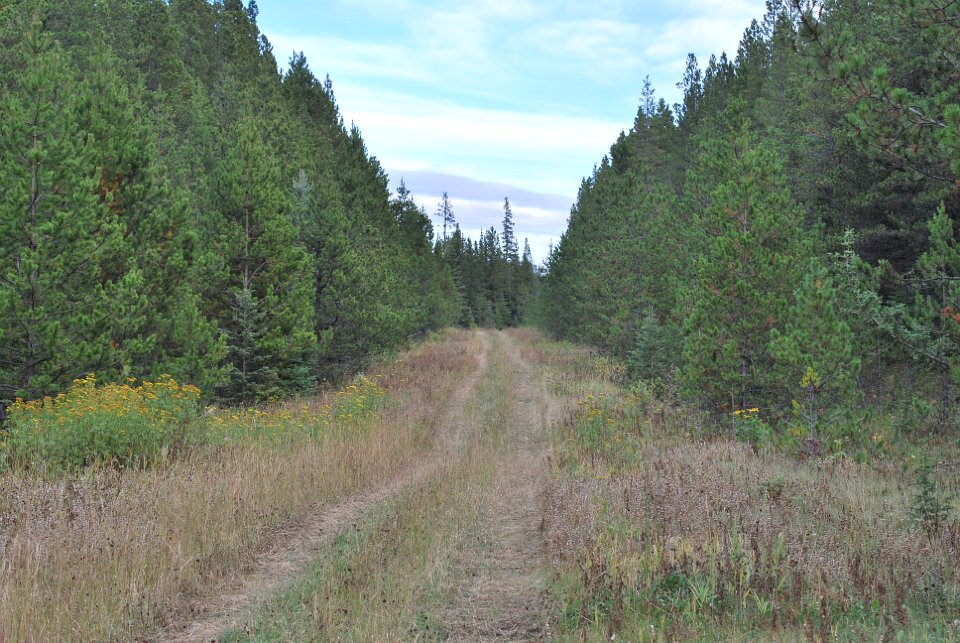 A quad trail in the early fall